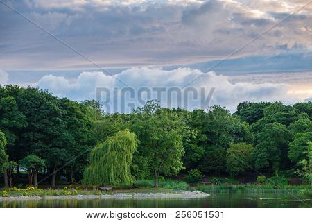 Beautiful Landscape Of Trees And Pond At Leazes Park In Newcastle, Uk