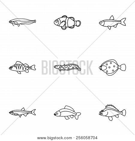 Fish Icons Set. Outline Illustration Of 9 Fish Icons For Web