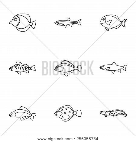 Ocean Fish Icons Set. Outline Illustration Of 9 Ocean Fish Icons For Web