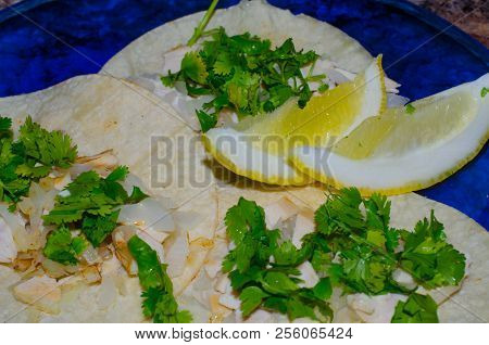 Fresh Authentic Mexican Chicken Tacos. Corn Tortillas With Chicken, Onion And Fresh Cilantro. Juicy 