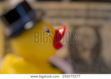 Yellow Duck With Blurred Banknote As A Backcground