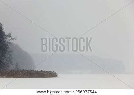 Snow Photographed In The Winter Season, Which Appeared After A Snowfall. Close-up,