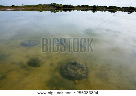 Lake Thetis Prehistoric Stromatolites - Western Australia