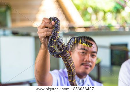 Demonstrates Snake In Serpentarium