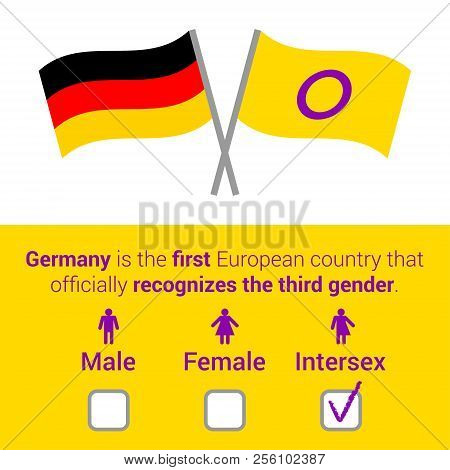 Vector Flat Illustration With Text, Intersex And German Flags, Questionnaire With Male, Female, Inte
