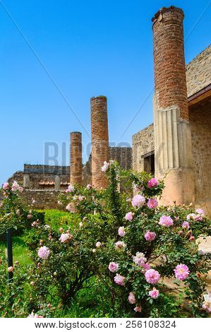 Pompeii Ruins: Columns Behind Beautiful Pink Roses