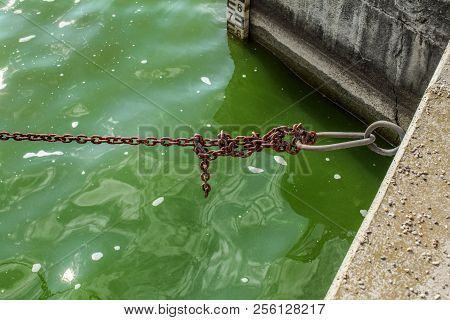 Old Rusty Boat Chain, Over Green Water At The Dock, With Sea Level Indicator In Background.