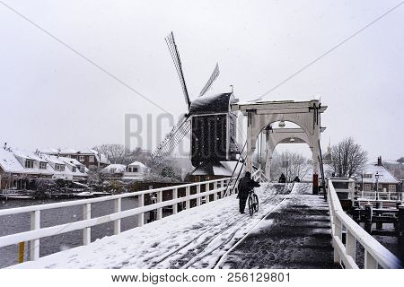 First Snow This Year In Leiden, Netherlands