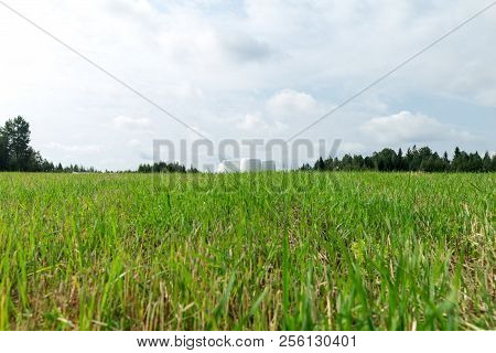Sunny Meadow And Hay Making. Season Of Harvest In Agriculture.