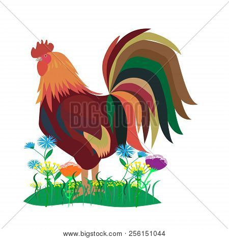 Colorful Rooster On Green Grass With Flowers, Isolated On White Background. Vector Illustration.