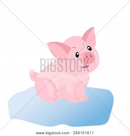Cute Pig Funny Piggie Cartoon Style, Vector Illustration