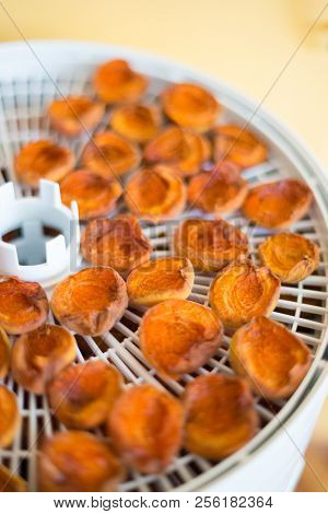 Ripe Segments Of Ripe Apricots Are Dried In An Electric Dryer To Preserve Vitamins