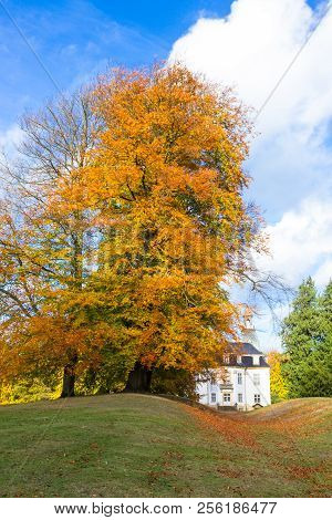Golden Autumn Park Near Charlottenlund Palace, North Of Copenhagen