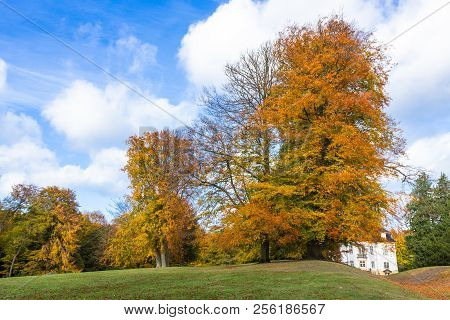 Golden Autumn Park Near Charlottenlund Palace, North Of Copenhagen