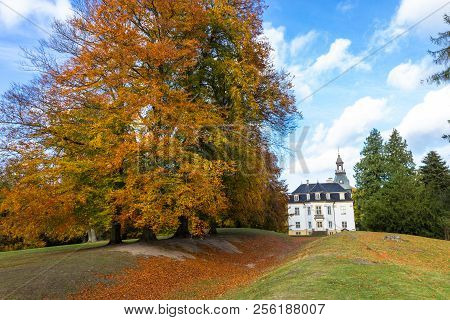 Golden Autumn Park Near Charlottenlund Palace, North Of Copenhagen