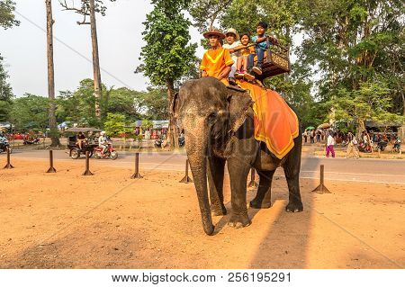 Elephant In Angkor Wat, Cambodia