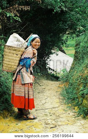 Sapa, Baha/ Vietnam - Aug 5 2010: Young Flower Hmong Tribe Member Woman On The Way Home High Up In T