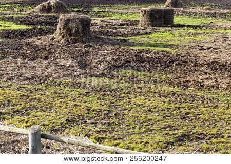 Stacks Of Old Last Year Straw Fenced Off By A Primitive Wooden Fence
