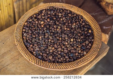 Kopi Luwak Or Civet Coffee, Coffee Beans Excreted By The Civet