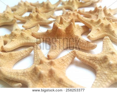Yellow Starfish On White Background, Sea Photophone