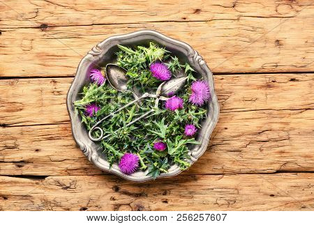 Onopordum And Herbalism.thistle