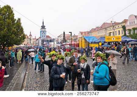 Zatec, Czech Republic - 1 August, 2018:  People At The 61st Celebration Of Hop Festival. All Day Was