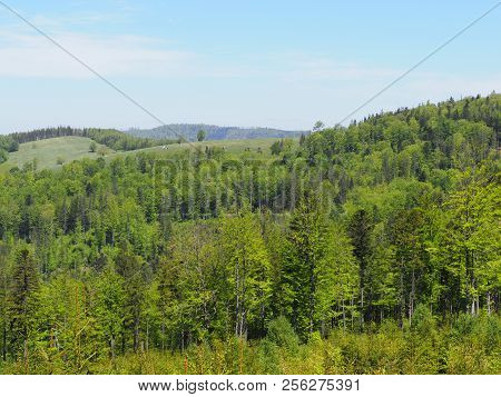 Cool Salmopol Pass Near Kotarz Mount In Silesian Beskids Mountains Range Landscapes Near European Ci