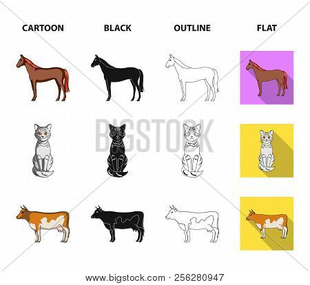 Horse, Cow, Cat, Squirrel And Other Kinds Of Animals.animals Set Collection Icons In Cartoon, Black,
