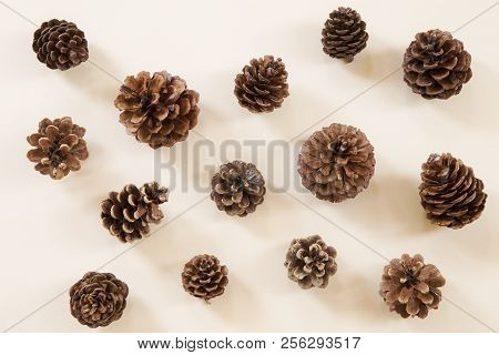 Pine Cones On Beige Background - Top View