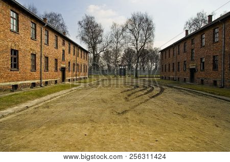 Auschwitz, Poland - March 30 2012: Remains Of Barracks In Birkenau, Treblinka 2