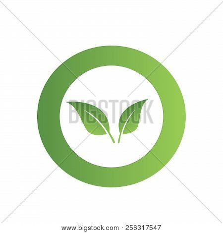Green Leaves Icon, Vector Illustration Isolated On White Backround.