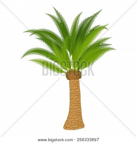 Dracaena Icon. Cartoon Illustration Of Dracaena Icon For Web