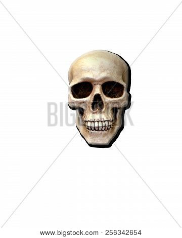 Halloween Photo Of A Skull With A Transparent Back Ground (png), Ready For Your Halloween Project.