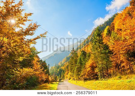 Road In Autumn Mountains, Alps, Austria. Beautiful Autumn Landscape