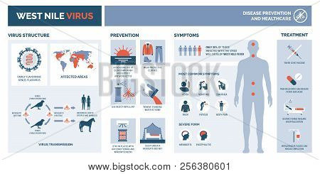 West Nile Virus Infographic: Virus Structure, Transmission, Prevention, Symptims And Treatment