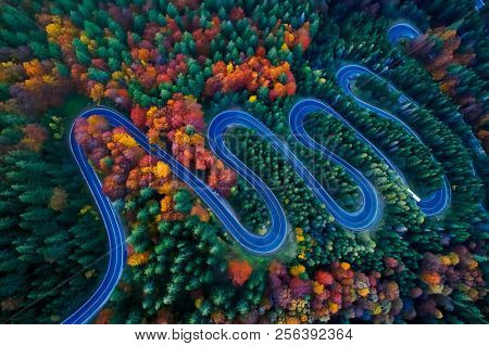Curved road trough the colorful autumn forest; pass in Transylvania Romania, aerial view from drone
