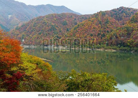 Lake in autumn