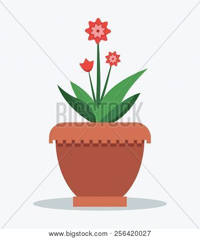 Mandevilla Flower And Leaves, Set Of Pink Blossoms, Leaf Green Color, Potted Plant Vector Illustrati