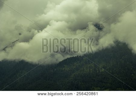 Heavy Cloud And Fog In The Mountain Forest