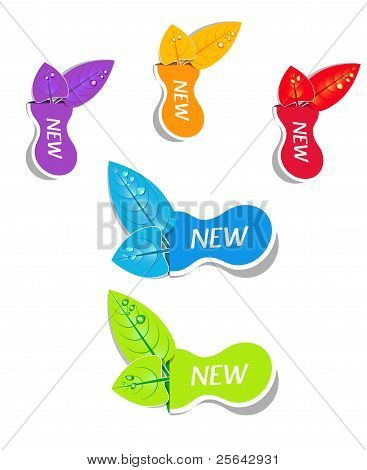 Web Elements