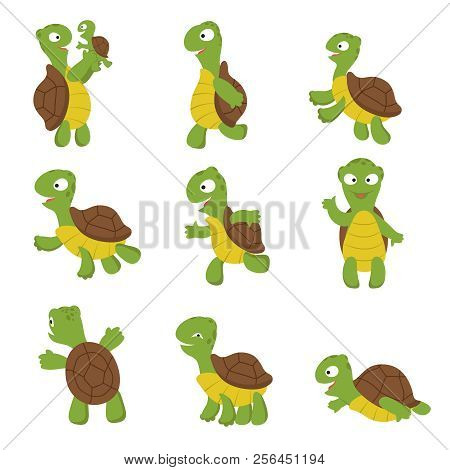 Cute Turtle. Green Tortoise Child In Various Poses. Vector Characters Isolated. Illustration Of Gree