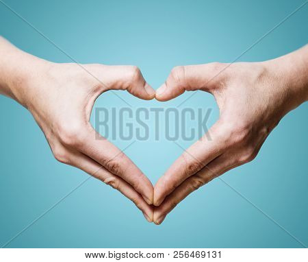 Two Hands In The Shape Of A Heart. The Concept Of Love, Harmony, Caring.