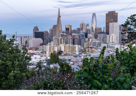 San Francisco downtown skyline Aerial view at sunset from Ina Coolbrith Park Hill in San Francisco, California, USA.