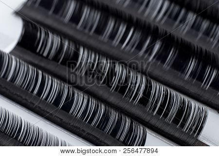 Eyelash Extension Procedure. Set Lashes Close Up.