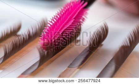Eyelash Brown Extension Procedure. Set Lashes Close Up Pink Comb