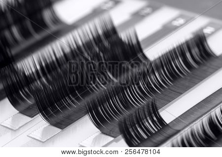 Set Artificial Lashes White Isolated Background, Eyelash Extension.