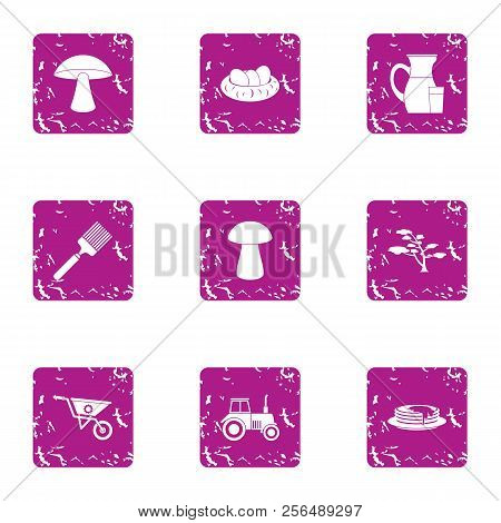 Private Plot Icons Set. Grunge Set Of 9 Private Plot Vector Icons For Web Isolated On White Backgrou