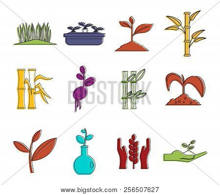Plant Icon Set. Color Outline Set Of Plant Icons For Web Design Isolated On White Background