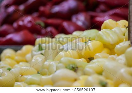 Red And Yellow Bell Peppers For Sale On A Market Of Serbia. Peppers Are A Vegetal Typical From The S