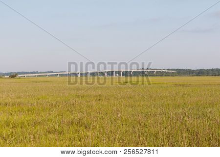 Field Of Green Dune Grass Along With North Carolina Coastline, With A Bridge In The Background